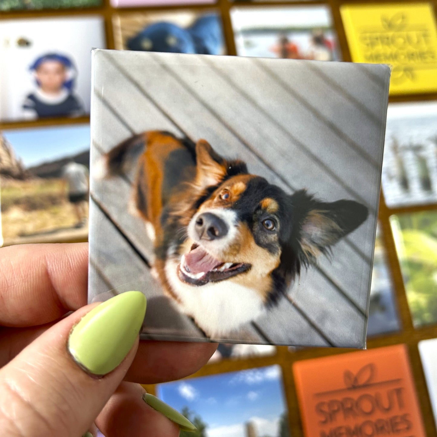 6 Photo Magnets